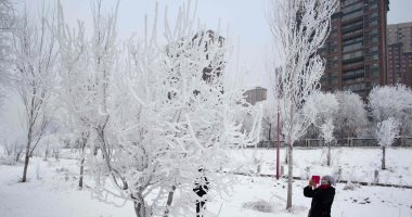 الطقس الدافئ يغلق أكبر حديقة للجليد فى الصين