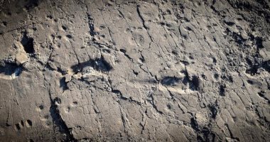 اكتشاف آثار أقدام للبشر فى تنزانيا يرجع تاريخها إلى 3.6 مليون سنة