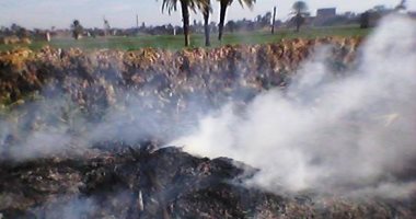 محافظ سوهاج يناشد  مزارعى الذرة برفع المخلفات وعدم حرقها  بالمحافظة