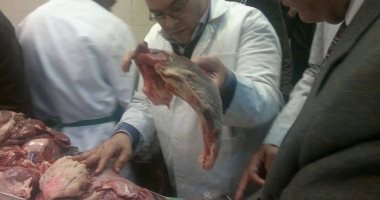 إعدام كميات هائلة من اللحوم الفاسدة بحملة تموينية وبيطرية بالدقهلية