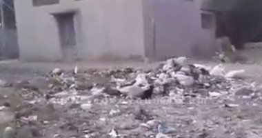 بالفيديو.. أهالى قرية الراهبين بالغربية يشكون من تراكم القمامة