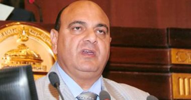 النائب عصام القاضى: تصريح الوزير أن مصر تشهد طفرة فى "الصحة" غير واقعى