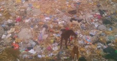 رئيس مدينة المحلة يشكل لجنة لتسلم مصنع تدوير القمامة 