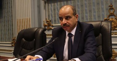هشام الشعينى: نرفض اتهام وزير الزراعة الجديد ويجب منحه الفرصة كاملة