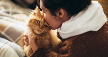 10 أسباب تجعل الفتاة عاشقة القطط شريكة حياة مثالية