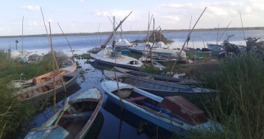 رئيس لجنة الصيد بدمياط يطالب بتشكيل لجنة لمتابعة مشاكل بحيرة المنزلة