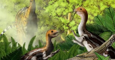 حفريات جديدة تكشف لأول مرة عن ديناصورات لها مناقير