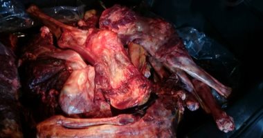 بالفيديو والصور..الجيزة: ضبط 600 كيلو لحم حمير "مشفى" جاهز للتوزيع بالمحافظة 