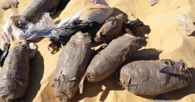 بالصور.. حراس آثار يعثرون على 20 كيلو بانجو مدفونة فى الرمال بأسوان