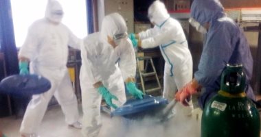 كرواتيا تحظر وجود دواجن فى أماكن مفتوحة بعد حالات إصابة بأنفلونزا الطيور