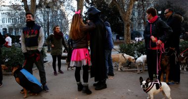 بالصور...سباق للكلاب فى مدريد للترويج لتبنى الحيوانات الأليفة