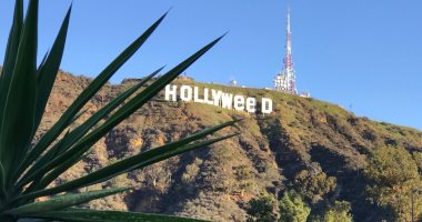 بالصور..تغيير أحرف لافتة "هوليوود" الشهيرة فى لوس أنجلوس إلى "هوليويد"