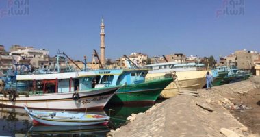 علوم البحار: سلوكيات الصيادين الخاطئة تهدر الثروة السمكية فى مصر
