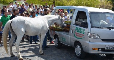 بالصور..حصان يلقى نظرة وداع على صاحبه خلال تشييع جنازته بالبرازيل