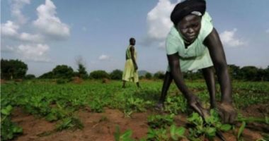 الأمم المتحدة تحذر من مجاعة بجنوب السودان..وتؤكد: 7.5 مليون شخص فى حاجة لمساعدات 