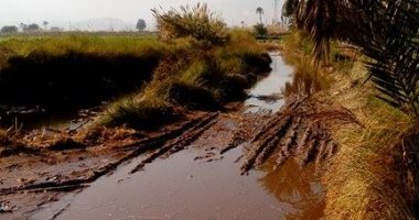 بالصور.. أهالى "نور الدين" بقنا يطالبون برصف طريق عزبتهم