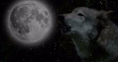 اليوم.. يمكنك مشاهدة بث مباشر لظاهرة "القمر الذئب" 