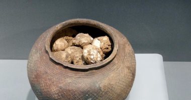 بالصور.. متحف بالصين يعرض "بيض" عمره" 2800 عام