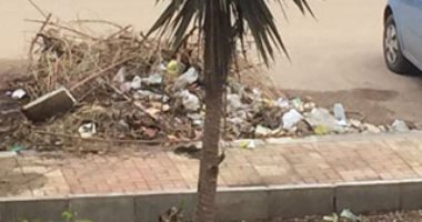 بالصور.. أهالى سموحة بالإسكندرية يشكون من تراكم القمامة بشوارع الحى