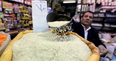 جمارك الإسكندرية تضبط واقعة تزوير واصطناع مستندات لتهريب أرز مصرى