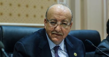 رئيس لجنة الإسكان بالبرلمان: مصر تواجه الإرهاب نيابة عن العالم
