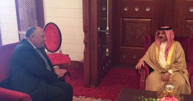 وزير الخارجية ينقل رسالة شفهية من الرئيس السيسي إلى ملك البحرين