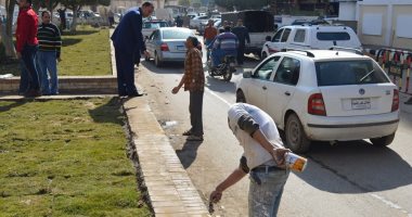 مساعد محافظ كفر الشيخ يتابع حملة رفع كفاءة الشوارع وأعمال التشجيير 