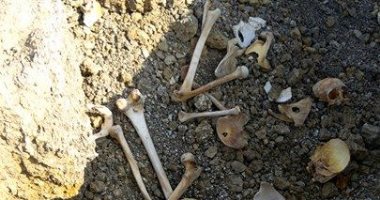 العثور على جماجم قديمة وبعض عظام الإنسان القديم فى شمال الصين