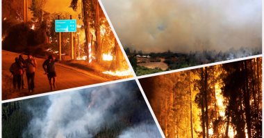 تواصل جهود مكافحة حرائق الغابات فى تشيلى بعد إعلان حالة الطوارئ