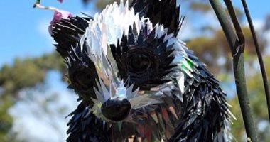سيديهاتك معاه..بالصور فنان استرالى يصنع من الاسطوانات مجسمات للطيور والحيوانات