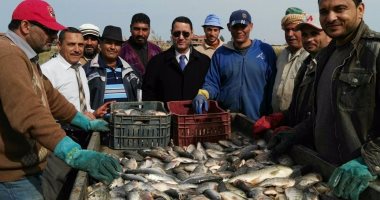 "تموين أسوان" تضبط 400 كيلو أسماك مهربة من بحيرة ناصر