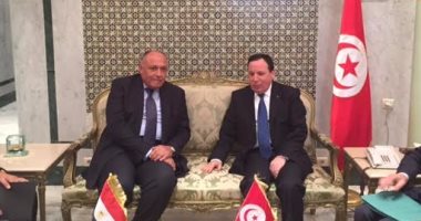 وزير الخارجية يرأس وفد مصر فى اجتماعات آلية التشاور السياسى فى تونس