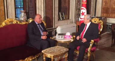 بالفيديو.. سامح شكرى لرئيس البرلمان التونسى: وجود رؤية شاملة لمكافحة الإرهاب "ضرورة"