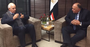 جلسة مباحثات بين سامح شكرى ونائب رئيس مجلس النواب الليبى بتونس