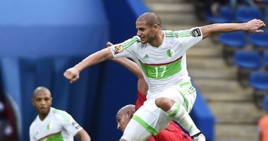 وزارة الرياضة تحقق فى فشل الجزائر بأمم أفريقيا