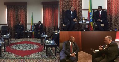 المتحدث باسم الخارجية ينشر صور المحادثات بين سامح شكرى ونظرائه الأفارقة
