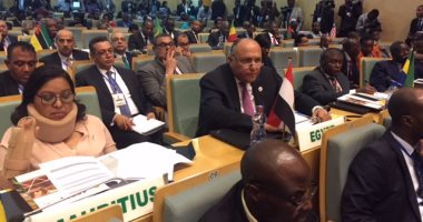 وزير الخارجية يرأس وفد مصر فى اجتماع قمة آلية مراجعة النظراء