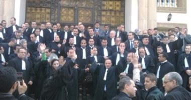 جنح شبين القناطر تحدد 4 فبراير للحكم على 12 محاميا متهمين بالتظاهر 