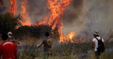 حرائق ضخمة فى غابات تشيلى ورجال الإطفاء يحاولون إخمادها