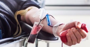 موجز أخبار مصر..  87 ألفا و391 مواطناً يطلبون التبرع بالدم