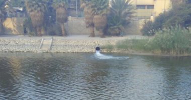 قارئ يرصد ماسورة "صرف صحى" بمياه النيل فى منطقة المنيل