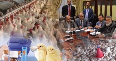 دواجن مصر تبحث عن الدواء.. البرلمان يحارب الأمصال المغشوشة وارتفاع نسبة النفوق.. وكيل "الزراعة": اللقاحات المستوردة أهدرت 40% من ثروتنا.. وأمين اللجنة يطالب الحجر الصحى بالرقابة وتوفير البدائل المحلية