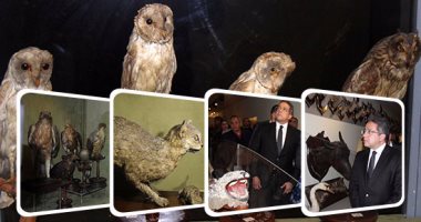 وزير الآثار يفتتح متحف الصيد بقصر محمد على بالمنيل