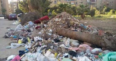 بالصور.. القمامة والكلاب الضالة يحاصران أهالى زهراء مدينة نصر
