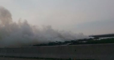 بالصور.. قارئ يرصد حرق لحشائش زراعية فى منطقة مرغم بالإسكندرية