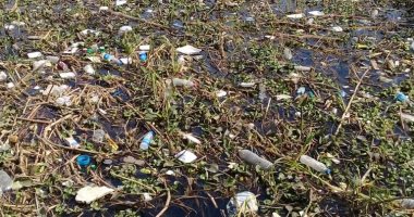 قارئ يرصد تلوث مياه النيل بالقمامة بمنطقة الوراق