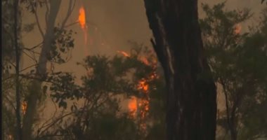 السلطات الأسترالية تخلى سكان ولاية نيو ساوث ويلز بسبب حرائق الغابات