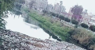 قارئ يرصد تلوث مياه النيل بالدقهلية 