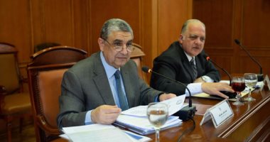 وزير الكهرباء من البرلمان: تنظيم زيارات للنواب إلى "الضبعة" و"أنشاص"