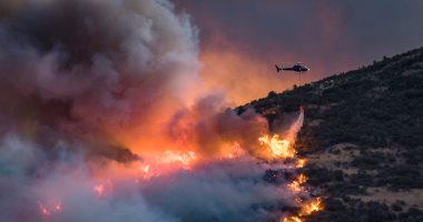 بالصور.. إعلان الطوارئ بنيوزيلندا بسبب حرائق الغابات.. والنيران تلتهم آلاف الأفدنة